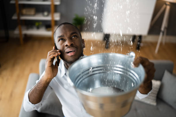Best Water damage cleanup near me  in Eufaula, AL