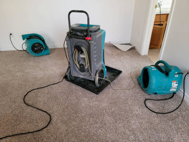 Best Water damage restoration process  in Eufaula, AL