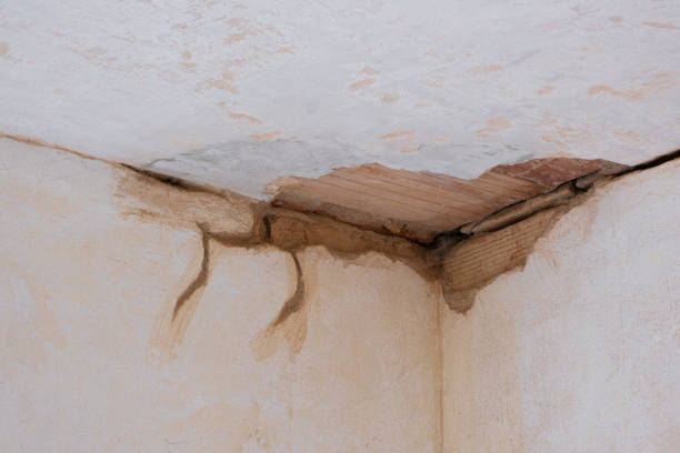  Eufaula, AL Water damage restoration Pros