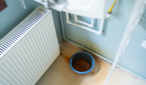 Best Mold removal after water damage  in Eufaula, AL