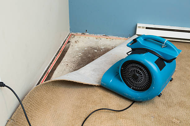 Best Flood restoration services  in Eufaula, AL